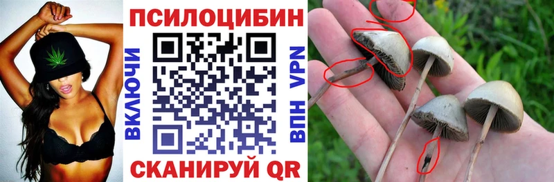 закладка  blacksprut как зайти  Галлюциногенные грибы Cubensis  Оренбург 